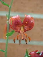 Foto: Dr. Peter Müller